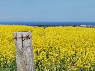 Casa per le vacanze Kägsdorf Ambiente 35
