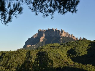 Fattoria Sant Salvador de Guardiola Ambiente 22