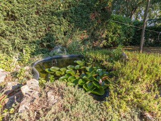 Villa Sibenik Outdoor Recording 4