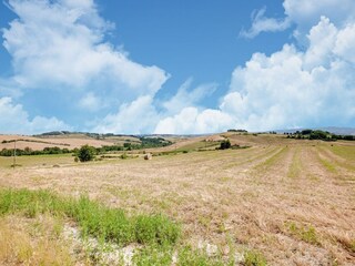 Apartamento Lajatico Entorno 32