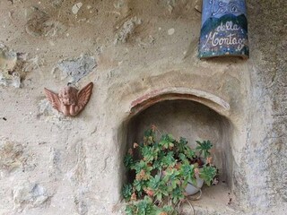 Casa de vacaciones Seggiano Entorno 4