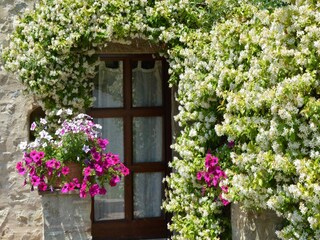 Casa per le vacanze Seggiano Caratteristiche 12