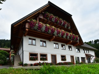 Ferienwohnung Oppenau Außenaufnahme 3