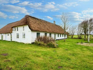 Ferienhaus Vester Husby  41