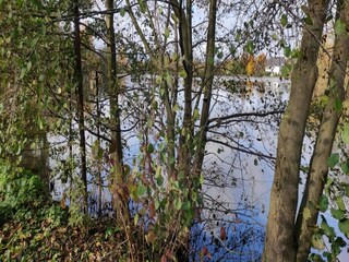 Appartamento Bissendorf Ambiente 32