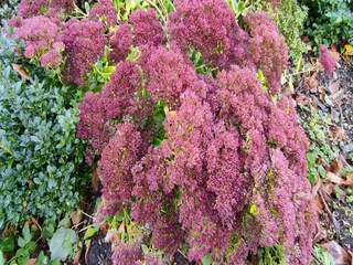 Appartement Bissendorf  37