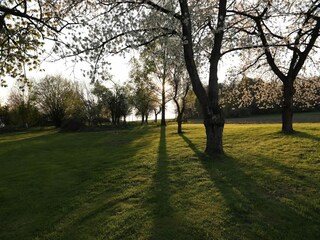 Appartamento Bissendorf Ambiente 22