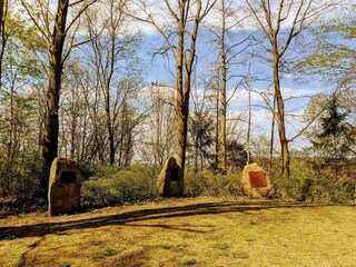 Appartamento Bissendorf Ambiente 24