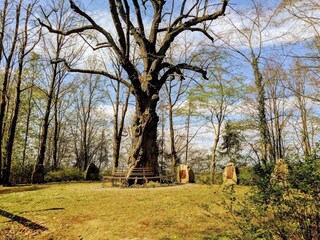 Appartement Bissendorf Environnement 30