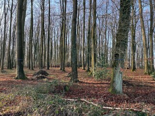 Appartement Bissendorf Omgeving 25