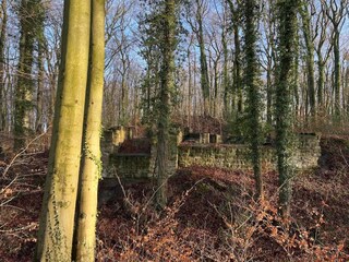 Appartement Bissendorf Environnement 23