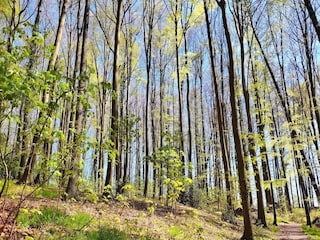 Appartamento Bissendorf Ambiente 35