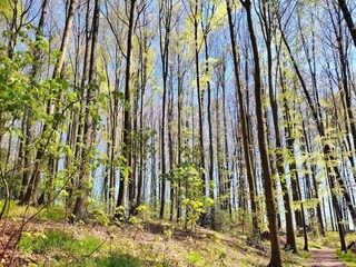 Appartement Bissendorf Environnement 30