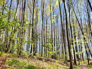 Appartamento Bissendorf Ambiente 31