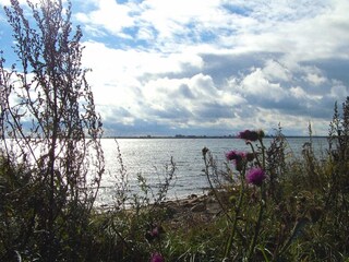 Apartamento Petersdorf  38