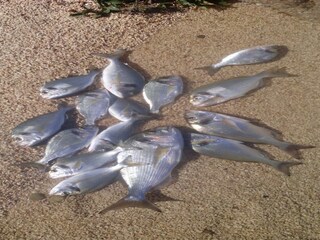 Vakantiehuis Ston  34