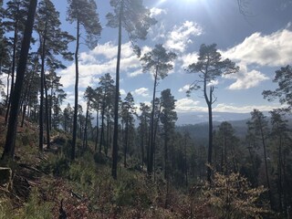 Ausblick vom Hausberg, Chemin des chèvres