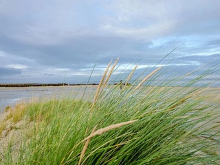 Nordsee