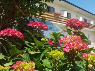 floral