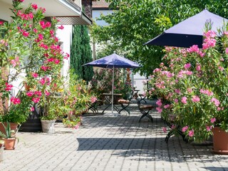 Innenhof 2