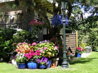 Appartamento per vacanze Callantsoog Registrazione all'aperto 3