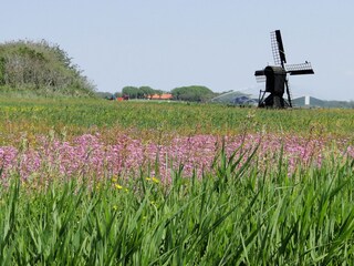 Ferienwohnung Callantsoog Umgebung 15