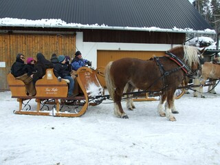 Kutschfaht im Winter und im Sommer
