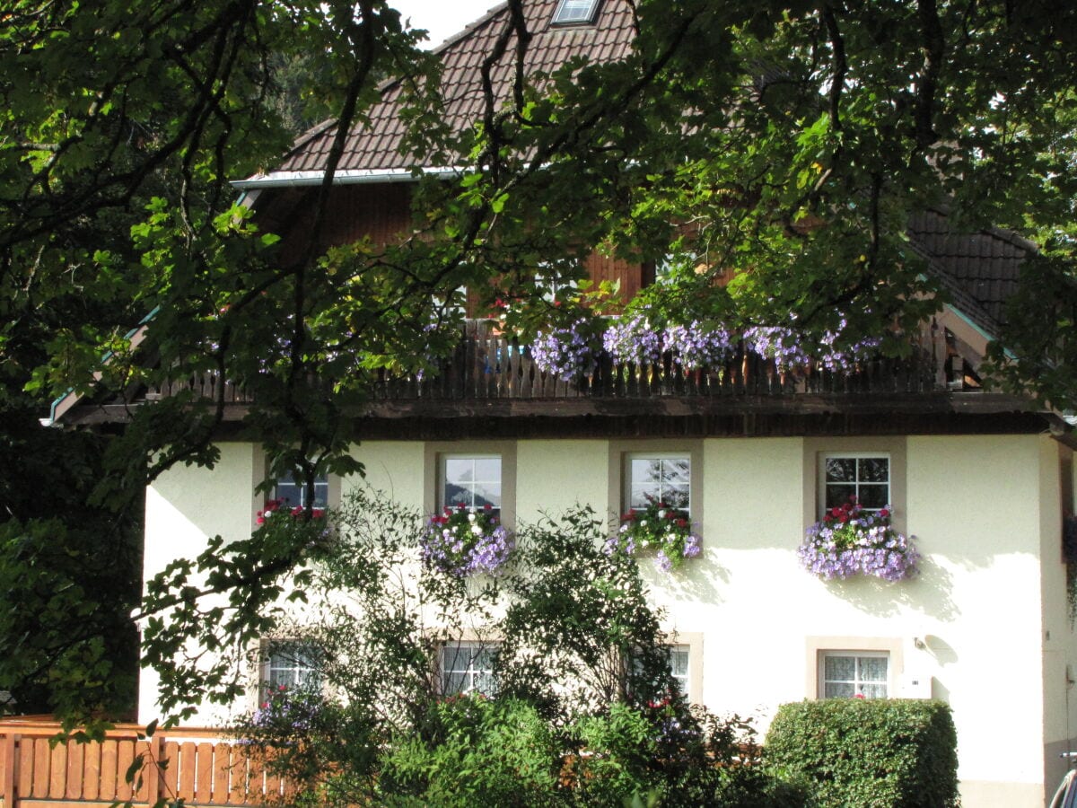 Hirschlehaus im Sommer