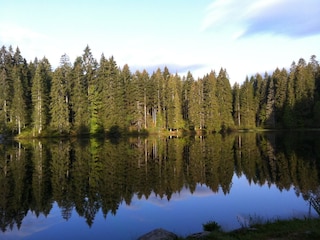 Hirschlehweiher