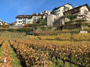 Appartamento per vacanze La Vigneronne, Giardino - Montreux - image1