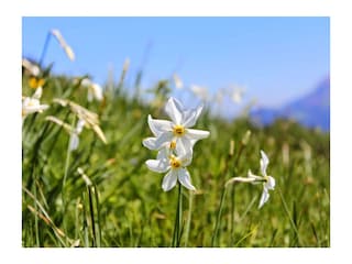 Ferienwohnung Montreux Umgebung 16