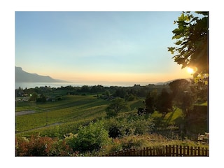 Blick von der Terrasse