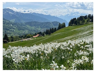 Ferienwohnung Montreux Umgebung 18