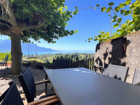 Holiday apartment La Vigneronne, Garden