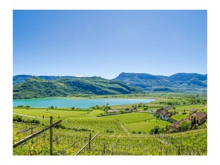 Appartamento per vacanze Tramin Ambiente 16