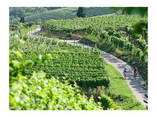 Appartamento per vacanze Tramin Ambiente 17