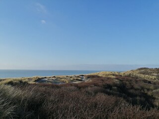 Casa per le vacanze Bruinisse Ambiente 31