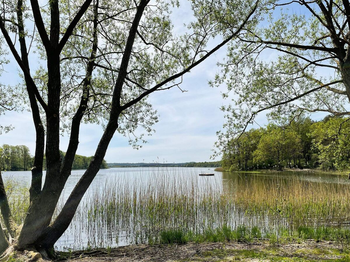 Ferienhaus Glemmingebro  13