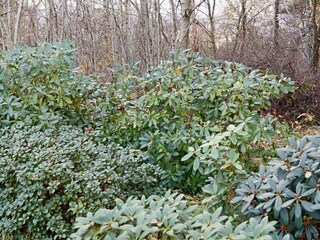 Vakantiehuis Falkenberg (Schweden) Buitenaudio-opname 3