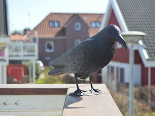 Ferienwohnung Greetsiel  55