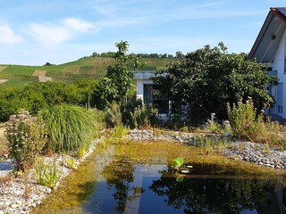 Schwimmteich mit Blick auf die Südseite des Bungalow