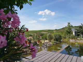 Schwimmteich mit Bungalow