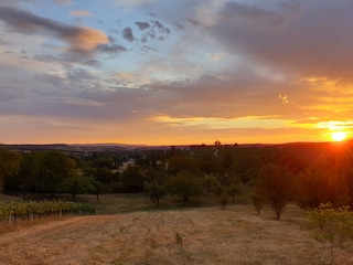 Blick aus dem Wohnzimmer