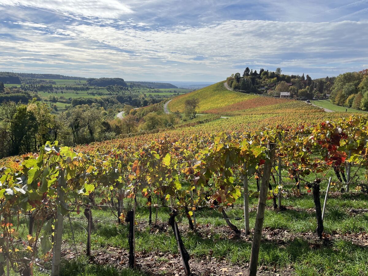 Weinberge und Burgen