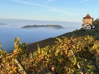 Burg Wildeck Nebel