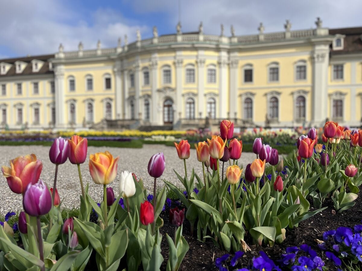 Schloss Ludwigsburg