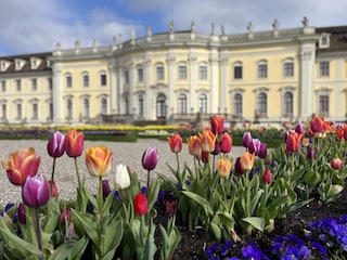 Schloss Ludwigsburg