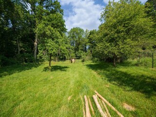 Vakantiehuis Havelange Buitenaudio-opname 2