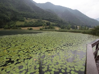 Ferienhaus Molina di Ledro Umgebung 35