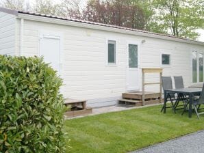 Ferienhaus Chalet in Appelscha mit schöner Aussicht - Appelscha - image1